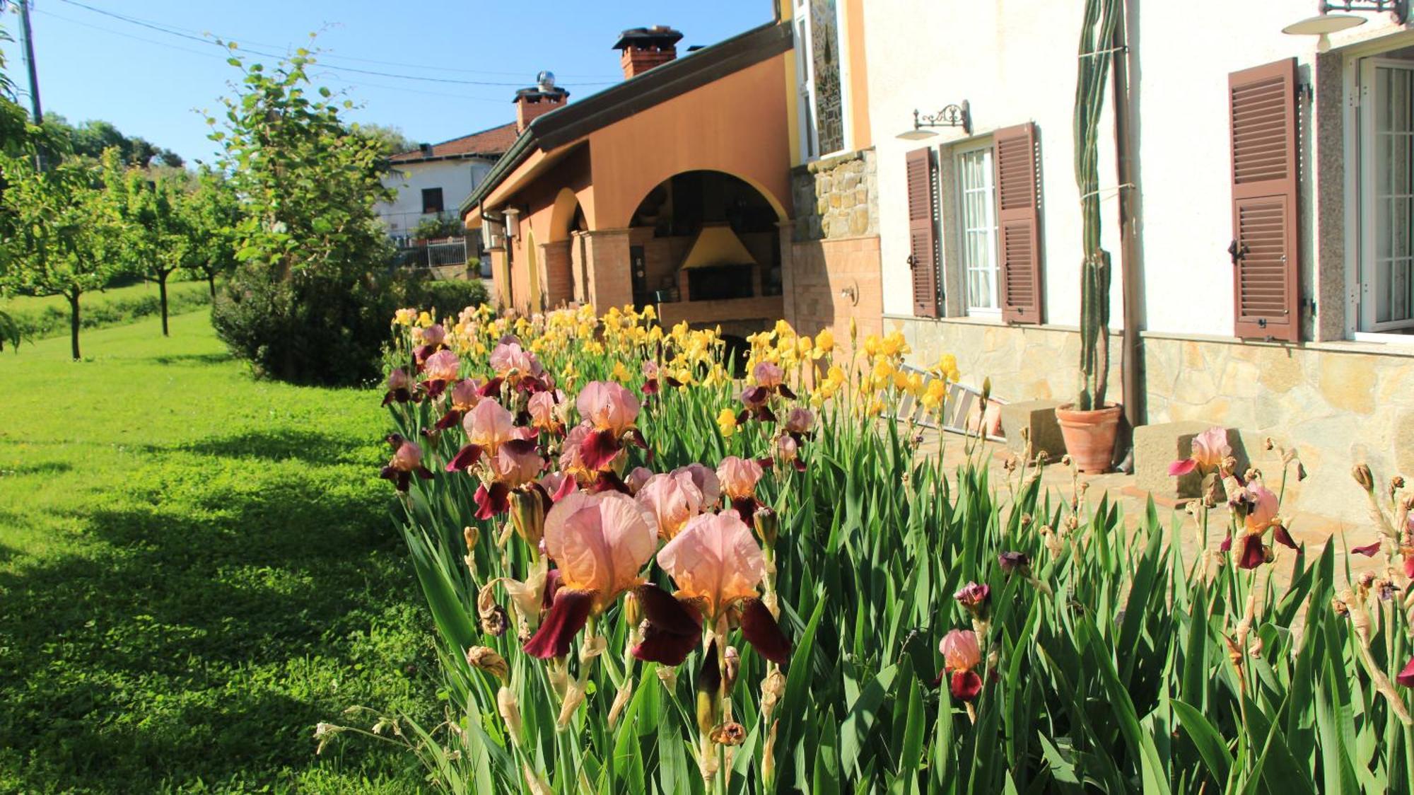 Casa Vacanze Ester Polverara Exteriör bild
